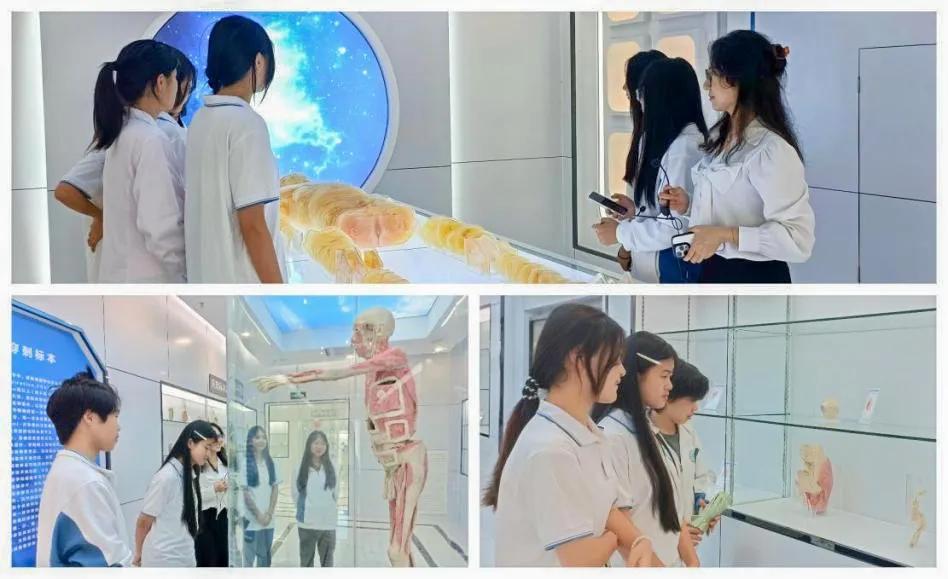 協(xié)同共育，健康心靈——我校2024年心理健康教育活動(dòng)月紀(jì)實(shí)(圖5)